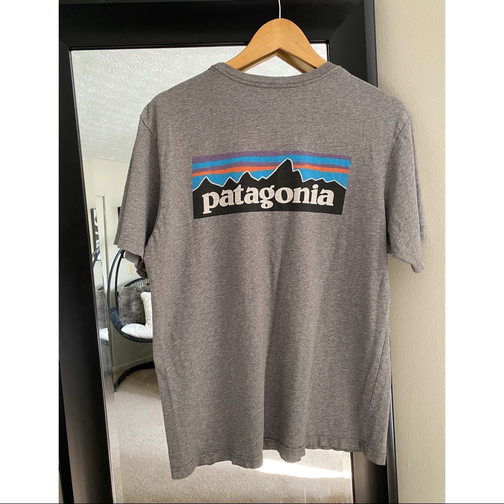 Patagonia tee